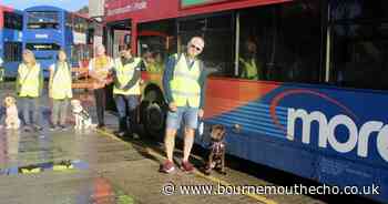 Morebus teams up with Guide Dogs to provide travel experience