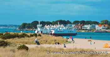 Sandbanks Ferry turnover up nearly £1m and highest in recent years
