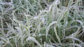 Saskatoon could see first frost overnight