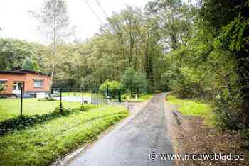 Woon jij in de buurt van bomen? Check je woning op de interactieve kaart van Greenpeace