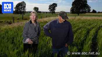 Couple turns down wind turbines worth millions due to decommissioning concerns