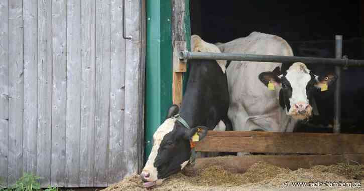 Grüne fordern unabhängigen Tierschutzbeauftragten für Bayern