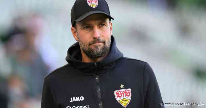 Stuttgarts Hoeneß freut Rosicky-Lob: «Kann ich zurückgeben»