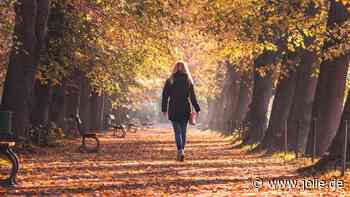 Horoskop heute: Dein Tageshoroskop am 01. Oktober 2024