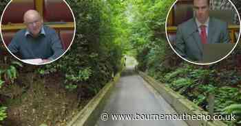 Protected trees to be chopped down on narrow route to improve road safety