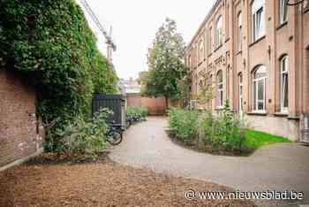 Vernieuwde speelplaats Campus Tesse krijgt label van Groene Oase: “Verharding maakt plaats voor bomen en struiken