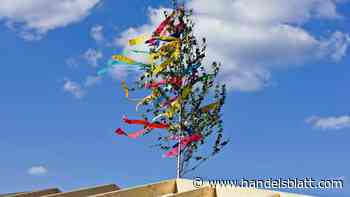 Neubau: Vier Tipps, um die Baukosten klein zu halten