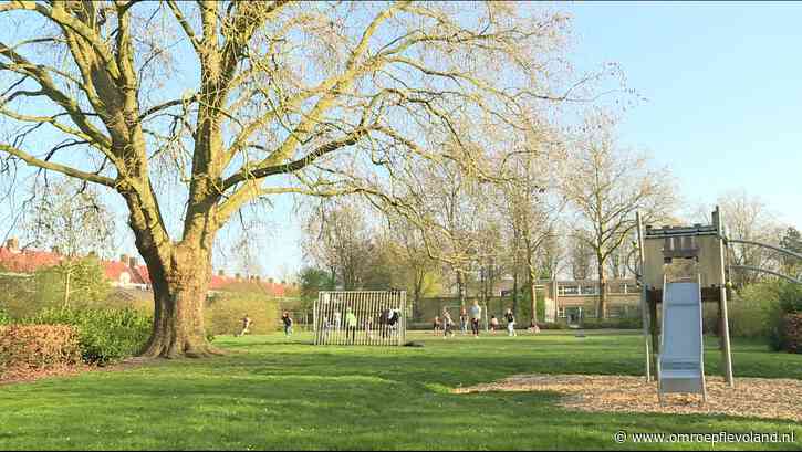 Emmeloord - Omwonenden Rietstraat teleurgesteld dat speelveld moet wijken, 'We zijn als buurt echt geraakt'