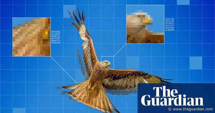 Hidden traces of humanity: what AI images reveal about our world