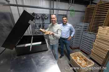 In deze bakkerij uit Dilsen-Stokkem wordt oud brood omgezet in groene energie: “We zitten elke avond met overschotten”
