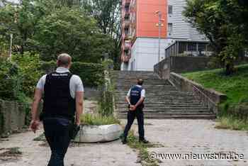 Schoten gelost in Peterbospark in Anderlecht, politie vindt er uitgebrand voertuig
