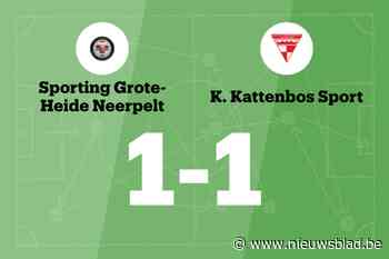Grote Heide en Kattenbos spelen 1-1