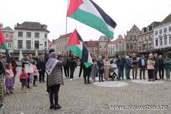 Actiegroep ‘Diestenaars voor Palestina’ verzamelt in petitie 700 handtekeningen voor staakt-het-vuren
