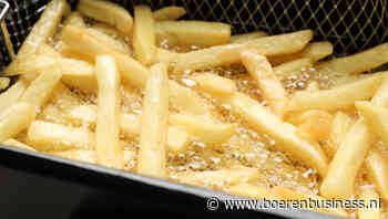EU zet minder frites af, maar wel tegen recordprijs