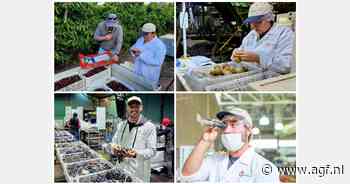 "De beste resultaten worden behaald door de importeur die de minste fouten maakt"