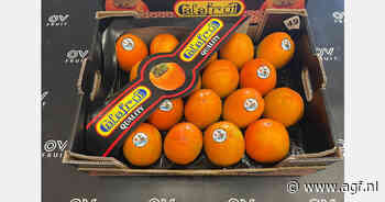 "Kaki-afzet blijft grotendeels gericht op etnische doelgroep"