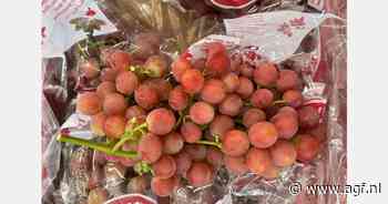 "Op de goede kwaliteit druiven uit Peru zullen we nog wel even moeten wachten"