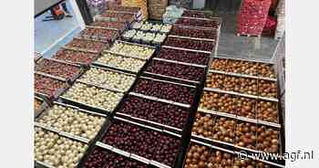 "Specialties en gele uien halen momenteel geen hoge prijzen"