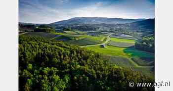 OPST Groep versnelt reorganisatie en richt Obst Partner Handels GmbH op