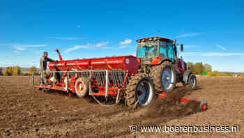 Nu al optimisme over tarweoogst Rusland in 2025