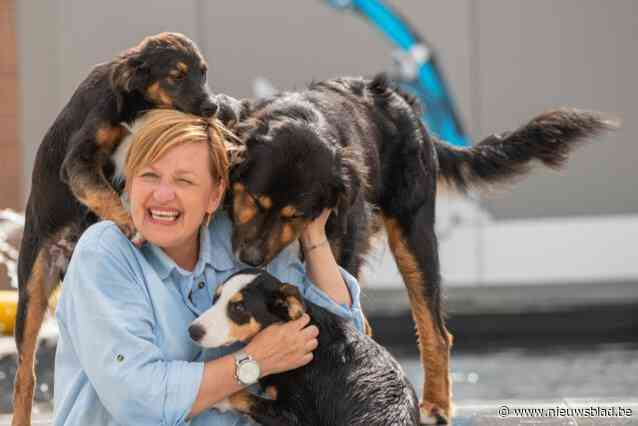 Hondenfotografe start actie om dierenasiel te steunen: “Ik fotografeer honden zoals ze zijn, elk in hun eigenheid”
