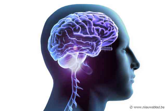 Week van de Niet-Aangeboren Hersenletsels (NAH): Grote Markt wordt Breinplein