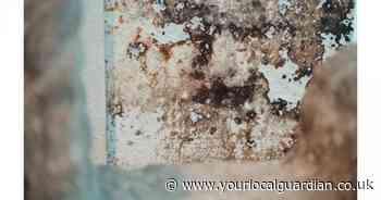 South London housing association investigation after maladministration complaints