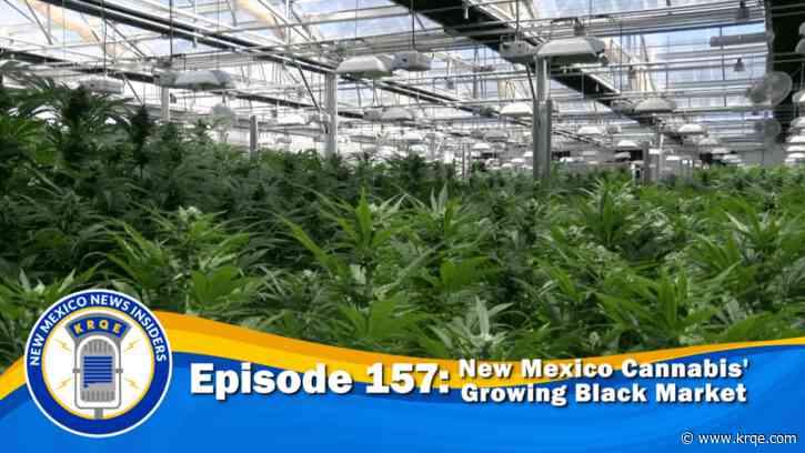 The Growing Black Market Inside New Mexico's Cannabis Industry