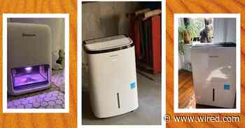 4 Best Dehumidifiers We've Tested and Reviewed