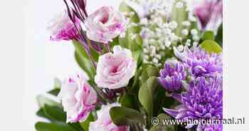 Minister Wiersma kan slechts beperkt invulling geven aan 3-puntenplan van biologische siertelers