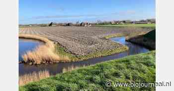 Burgers maken aankoop Pronkstuk samen mogelijk