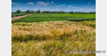 "Biologische landbouw leidt tot aanpassingen in het genetisch materiaal van planten"