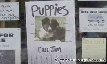 Capital One dispenses with cute animal trope in cautionary tale