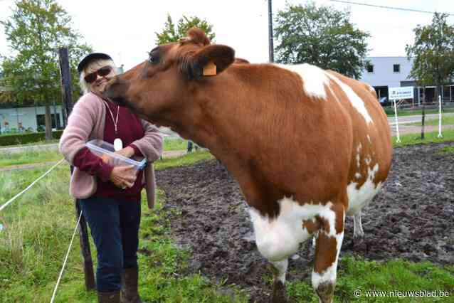 “Iris heeft mij geholpen het verlies van mijn zoon te verwerken, haar van het slachthuis redden was slechts kleine wederdienst voor alles wat zij voor mij gedaan heeft”