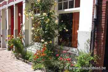 Duffel start met aanleg van 21 geveltuinen: “Kleine lokale initiatieven kunnen een grote impact hebben op het klimaat”