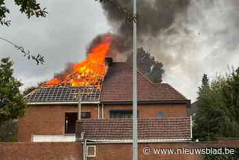 Uitslaande brand in Kuringen: brandweer probeert aanpalende woning te vrijwaren