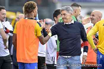 Felice Mazzu drukt zijn stempel bij STVV: trainer duidt zijn belangrijke ingreep tegen Cercle