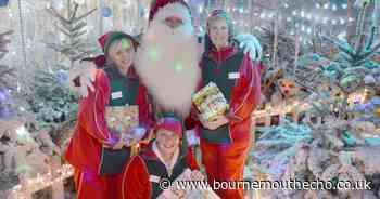 Christmas at Stewarts garden centre set to be 'most magical yet'