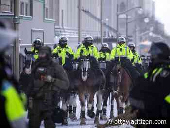 Denley: Do Ottawa police really need horses to help fight crime?