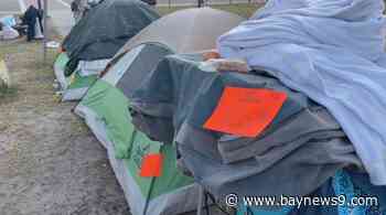 Many new Florida laws go into effect Tuesday, including a ban on sleeping in public places