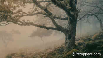 7 Reasons to Embrace Dreary Melancholic Conditions