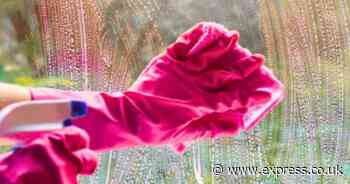 Windows will be ‘sparkling and streak-free’ in 10 minutes with natural 3-item solution