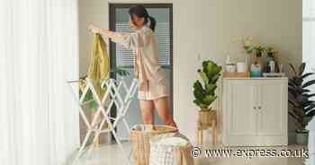 Laundry expert shares method to dry clothes quickly while 'removing moisture from the air'