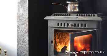 Log burner rules 2024: How to avoid fines when using your wood-burning stove this winter