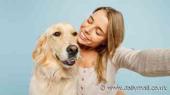 Who's a good boy? Scientists reveal the key to bonding with your dog - and it's all about the way you SPEAK to them