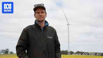 Farmers divided over hosting renewable energy projects as turbines rise in dairy country