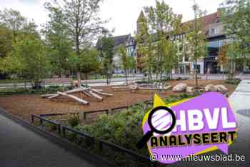 Genkenaren willen een nettere stad: “Maar het stadsbos is fantastisch”