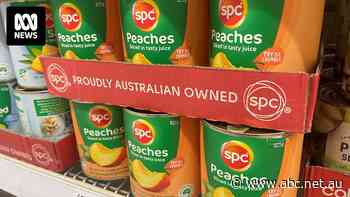 Canned fruit giant SPC agrees to merger to solidify Australian manufacturing