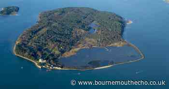 Brownsea Island to close to visitors from November