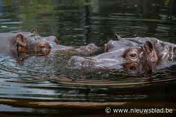Rust zacht, Hermien! Goede reis, Imani!